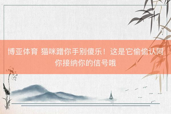 博亚体育 猫咪蹭你手别傻乐！这是它偷偷认同你接纳你的信号哦