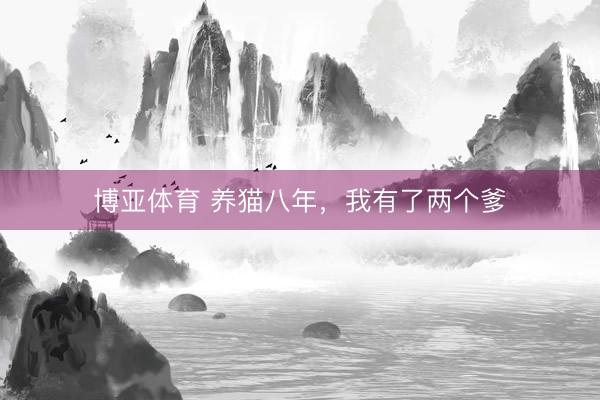 博亚体育 养猫八年，我有了两个爹