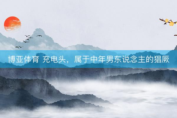 博亚体育 充电头，属于中年男东说念主的猖厥