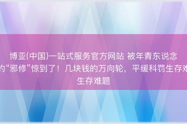 博亚(中国)一站式服务官方网站 被年青东说念主的“邪修”惊到了!几块钱的万向轮,平缓科罚生存难题