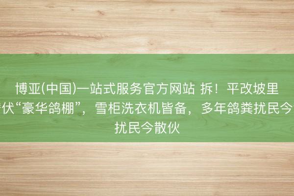 博亚(中国)一站式服务官方网站 拆!平改坡里竟潜伏“豪华鸽棚”,雪柜洗衣机皆备,多年鸽粪扰民今散伙