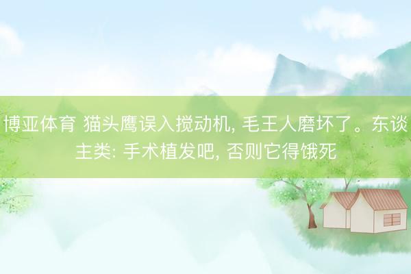 博亚体育 猫头鹰误入搅动机， 毛王人磨坏了。东谈主类: 手术植发吧， 否则它得饿死