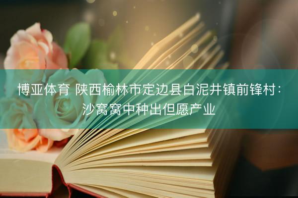 博亚体育 陕西榆林市定边县白泥井镇前锋村：沙窝窝中种出但愿产业