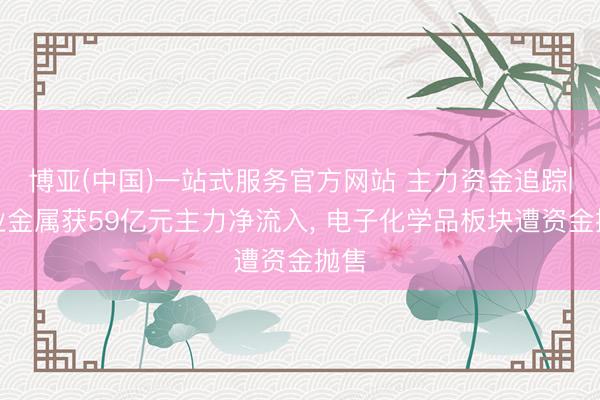 博亚(中国)一站式服务官方网站 主力资金追踪|工业金属获59亿元主力净流入， 电子化学品板块遭资金抛售