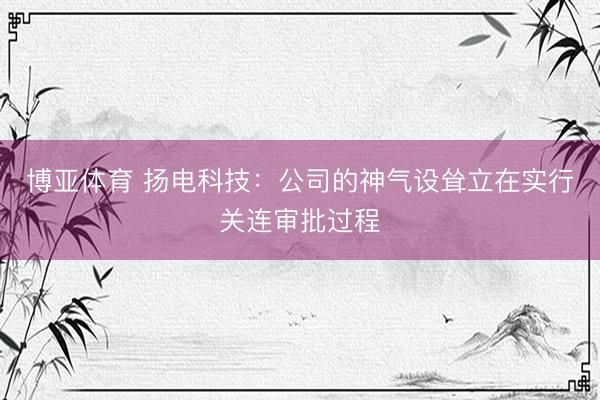 博亚体育 扬电科技：公司的神气设耸立在实行关连审批过程