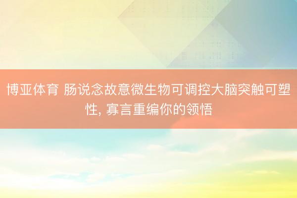 博亚体育 肠说念故意微生物可调控大脑突触可塑性， 寡言重编你的领悟