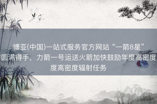 博亚(中国)一站式服务官方网站 “一箭8星”专车辐射圆满得手，力箭一号运送火箭加快鼓励年度高密度辐射任务