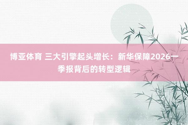 博亚体育 三大引擎起头增长：新华保障2026一季报背后的转型逻辑